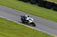 PJ-Motorsport-2019;anglesey-no-limits-trackday;anglesey-photographs;anglesey-trackday-photographs;enduro-digital-images;event-digital-images;eventdigitalimages;no-limits-trackdays;peter-wileman-photography;racing-digital-images;trac-mon;trackday-digital-images;trackday-photos;ty-croes